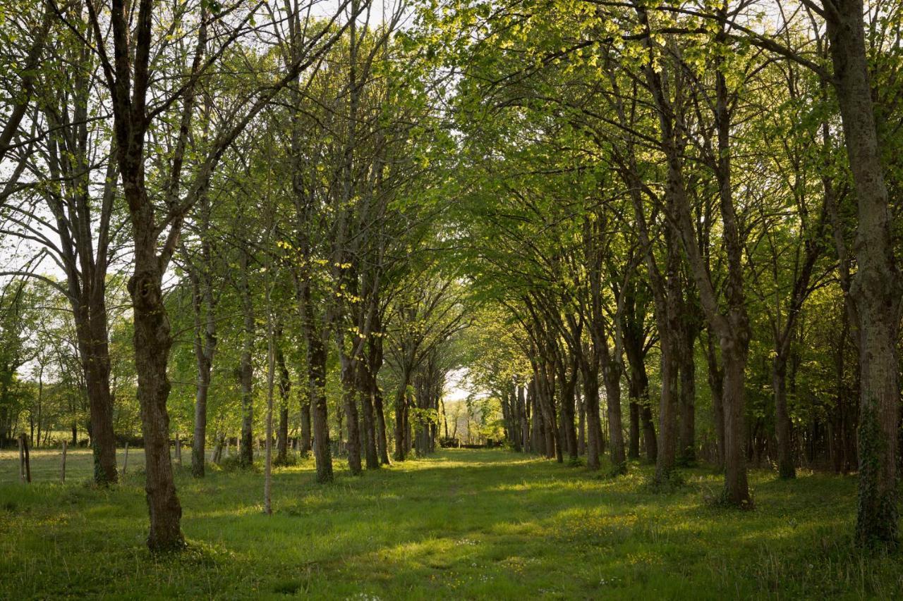 Chateau De Bois Charmant Les Nouillers Eksteriør billede